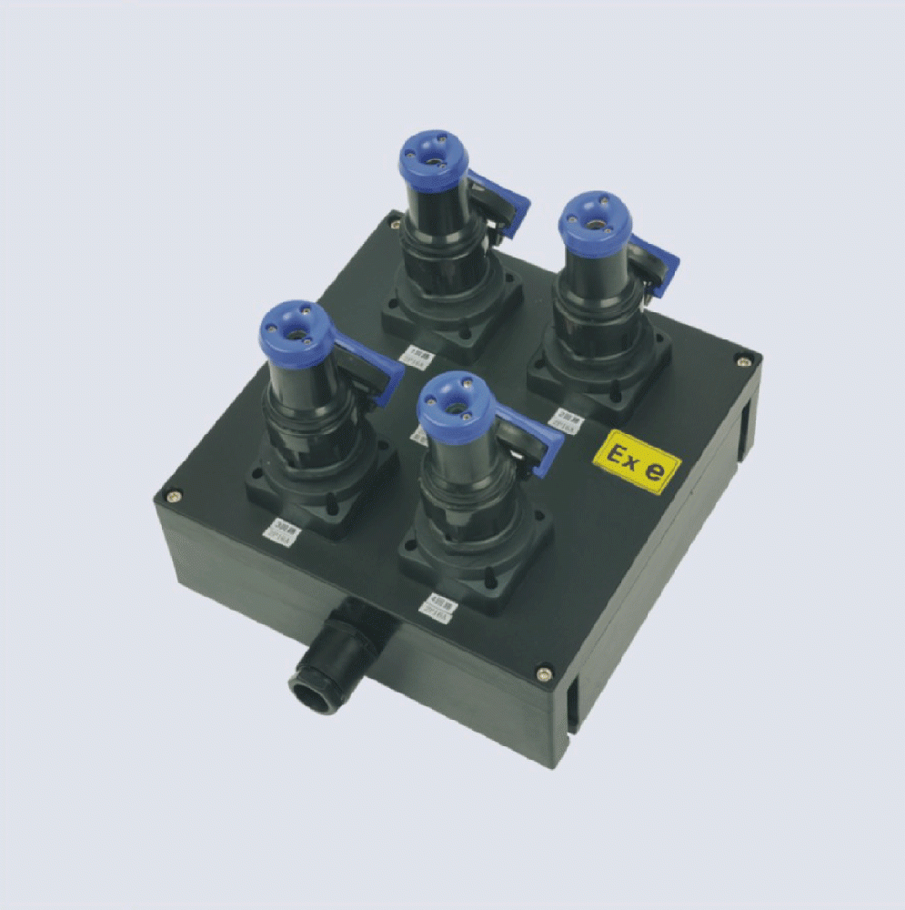 BXX8050-系列防爆防腐檢修電源插座箱(IIC、 ExtD)
